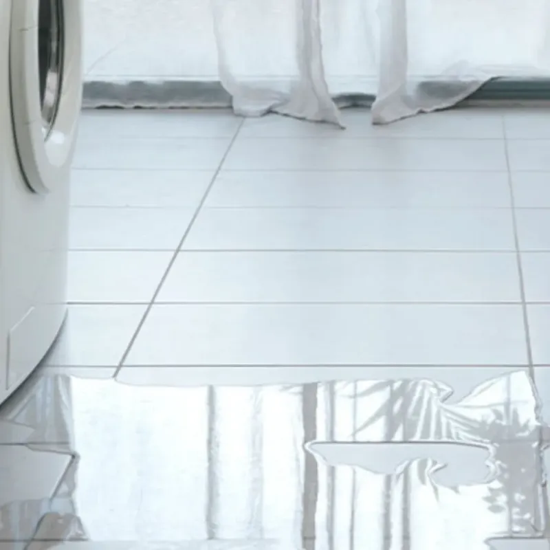 Appliance Leak Cleanup in Brush Prairie, WA